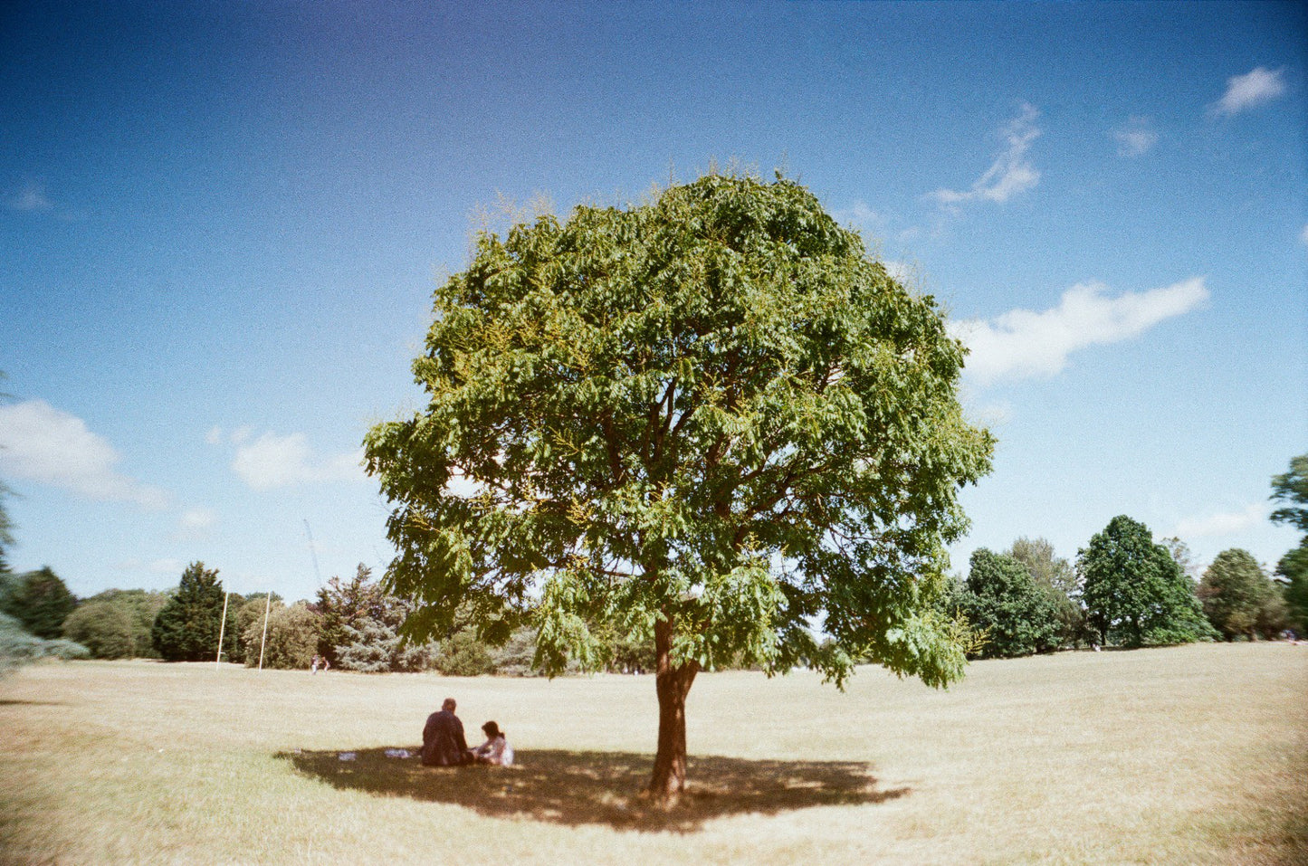 Chroma Click - 35mm Compact Camera with 24mm "Double Glass" lens