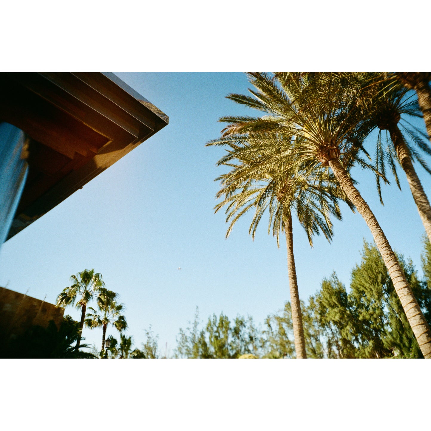 Chroma Click - 35mm Compact Camera with 24mm "Double Glass" lens