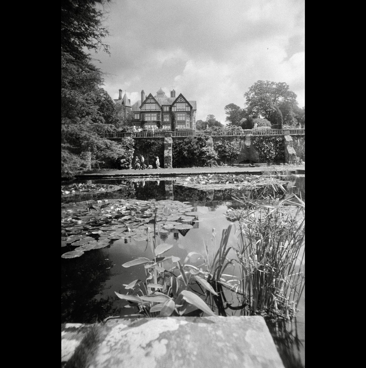 Chroma Click - 35mm Compact Camera with 24mm "Double Glass" lens