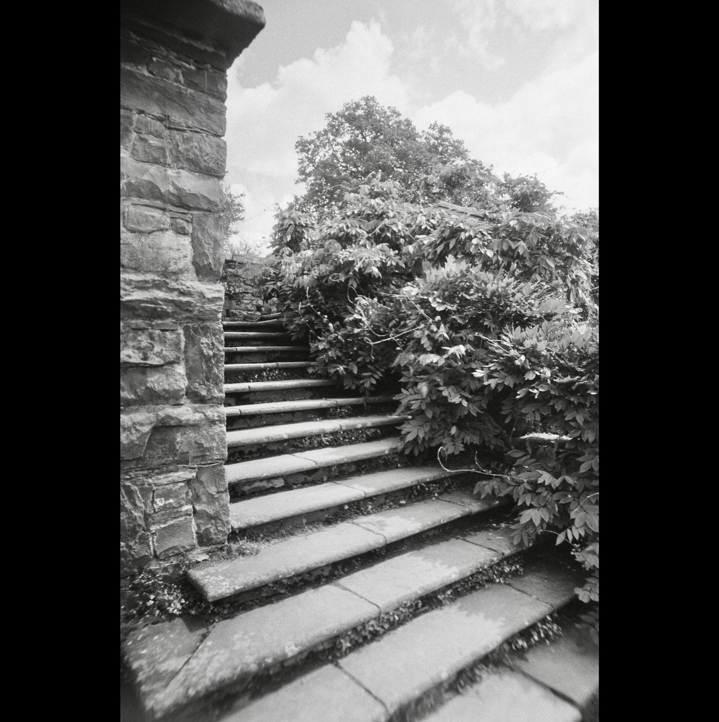 Chroma Click - 35mm Compact Camera with 24mm "Double Glass" lens