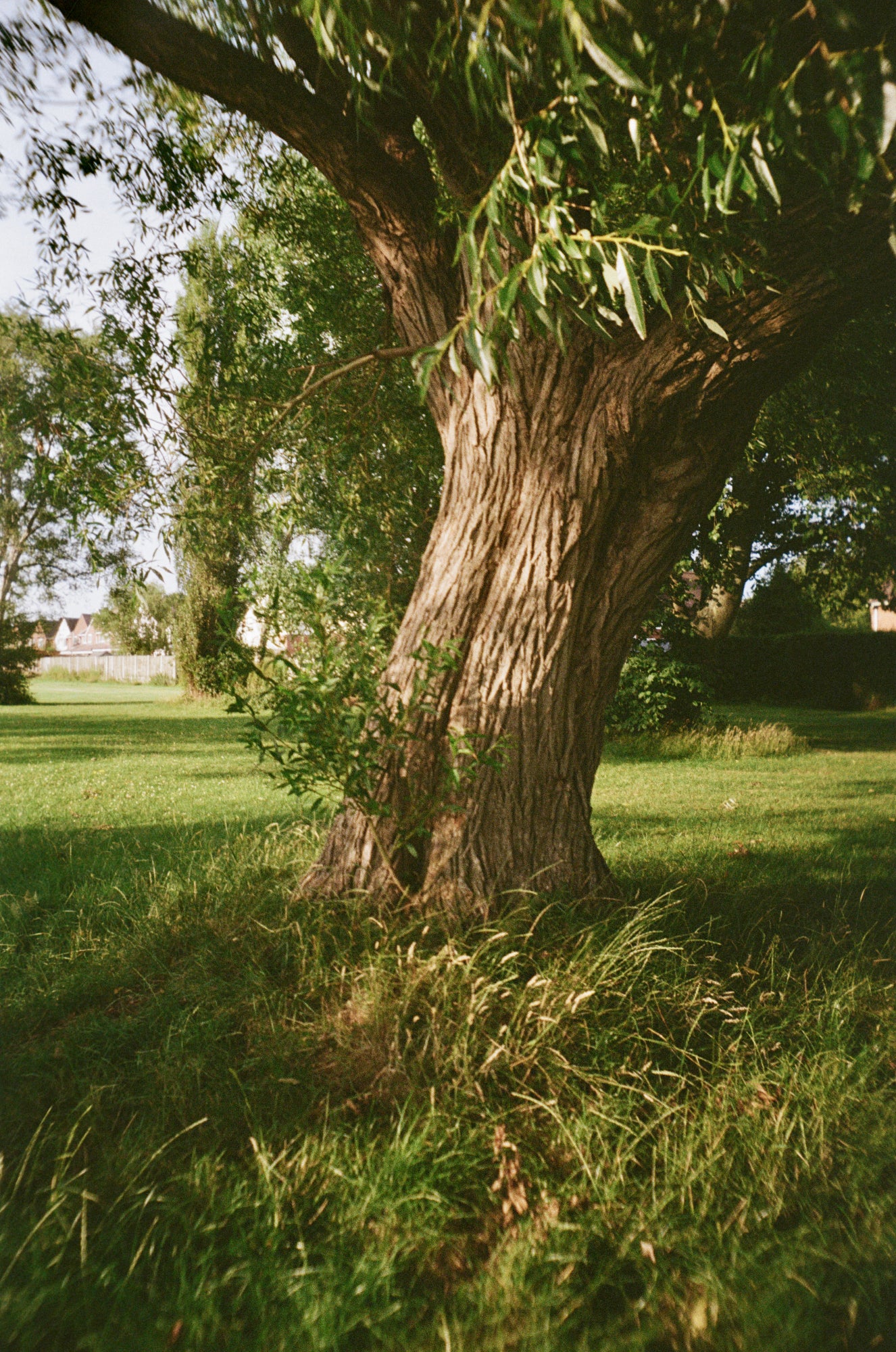 Chroma Click - 35mm Compact Camera with 24mm "Double Glass" lens