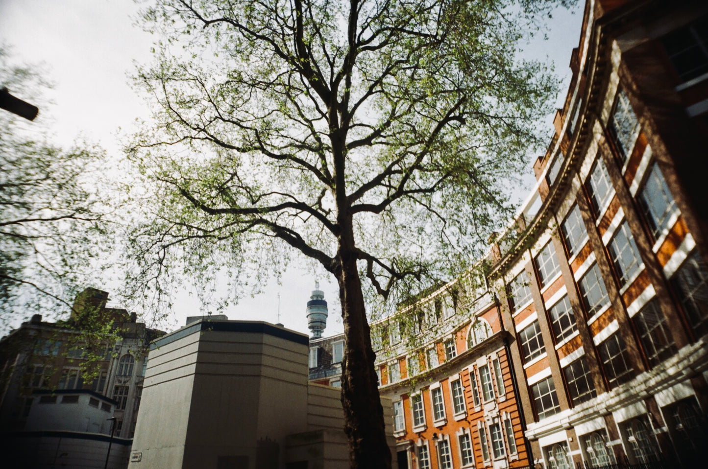 Chroma Click - 35mm Compact Camera with 24mm "Double Glass" lens